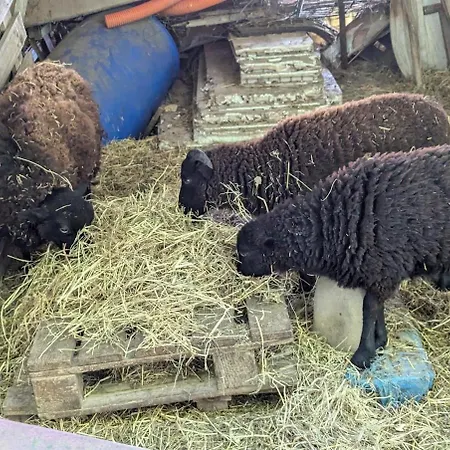 8 Couchages Avec Piscine Et Lacs Vakantiehuis *