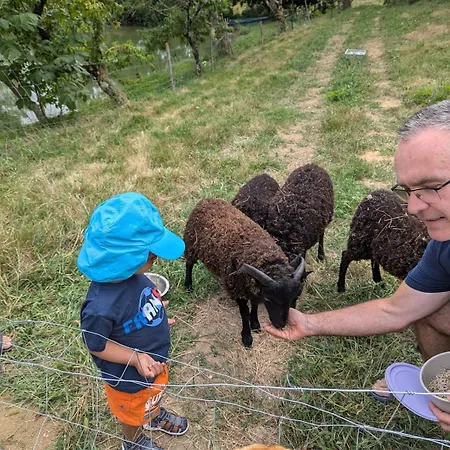 8 Couchages Avec Piscine Et Lacs *